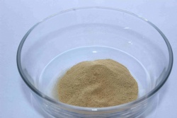 Xylanase