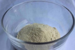 Protease