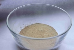 Alpha-Amylase