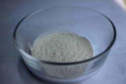 Lipase