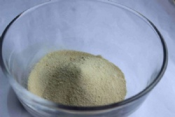 Alpha-Galactosidase