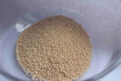 Complex Enzyme