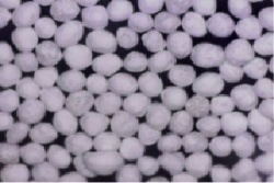 Coated Neutral Cellulase